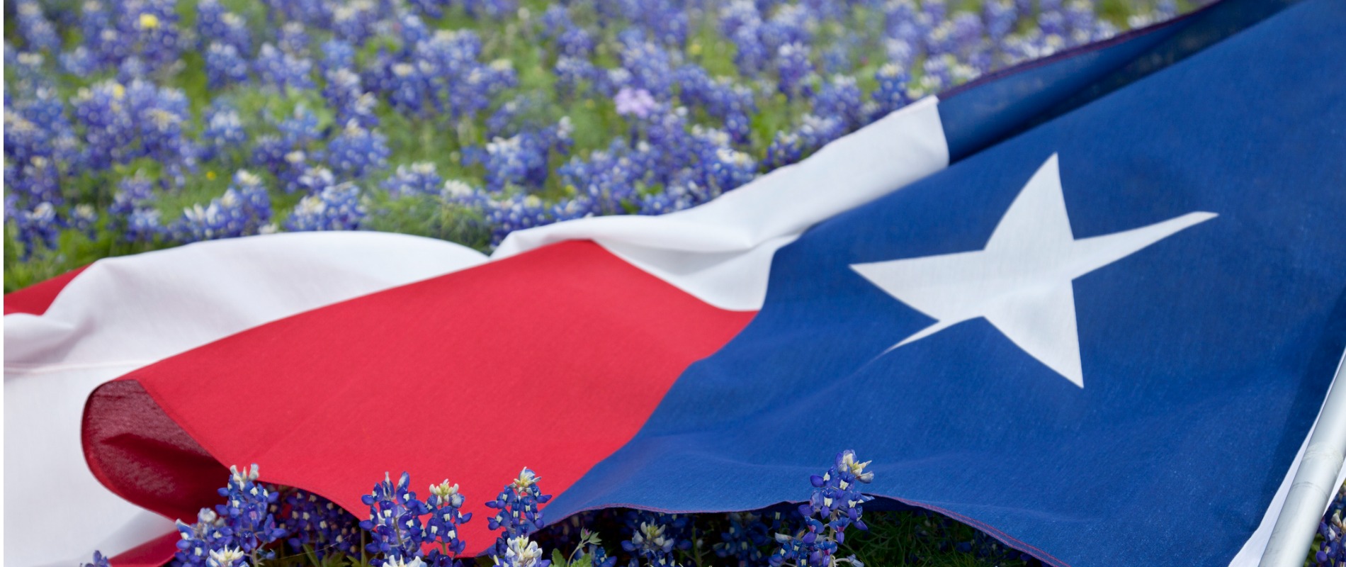 Texas Flag with Bluebonnets